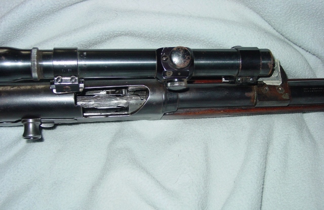 8 back sight.JPG