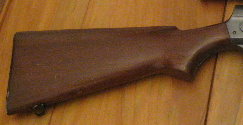 Mod81f.JPG
