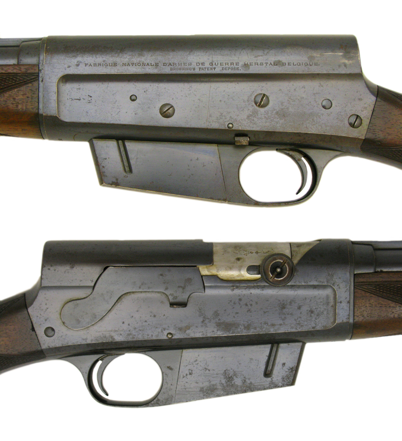 FN profile.jpg
