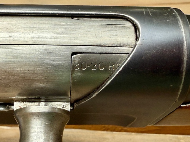 image (41).png